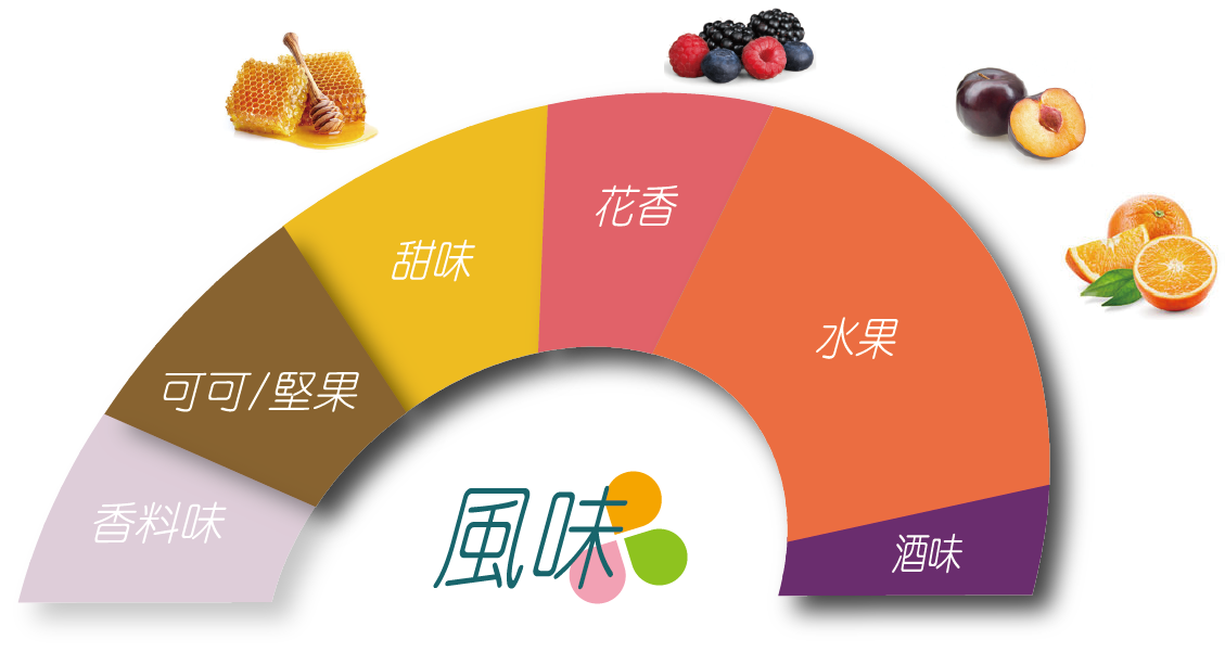 科班雨林飲的風味輪 葡萄乾、深色莓果、酒漬櫻桃、巧克力、水果酒、風味明確、層次豐富