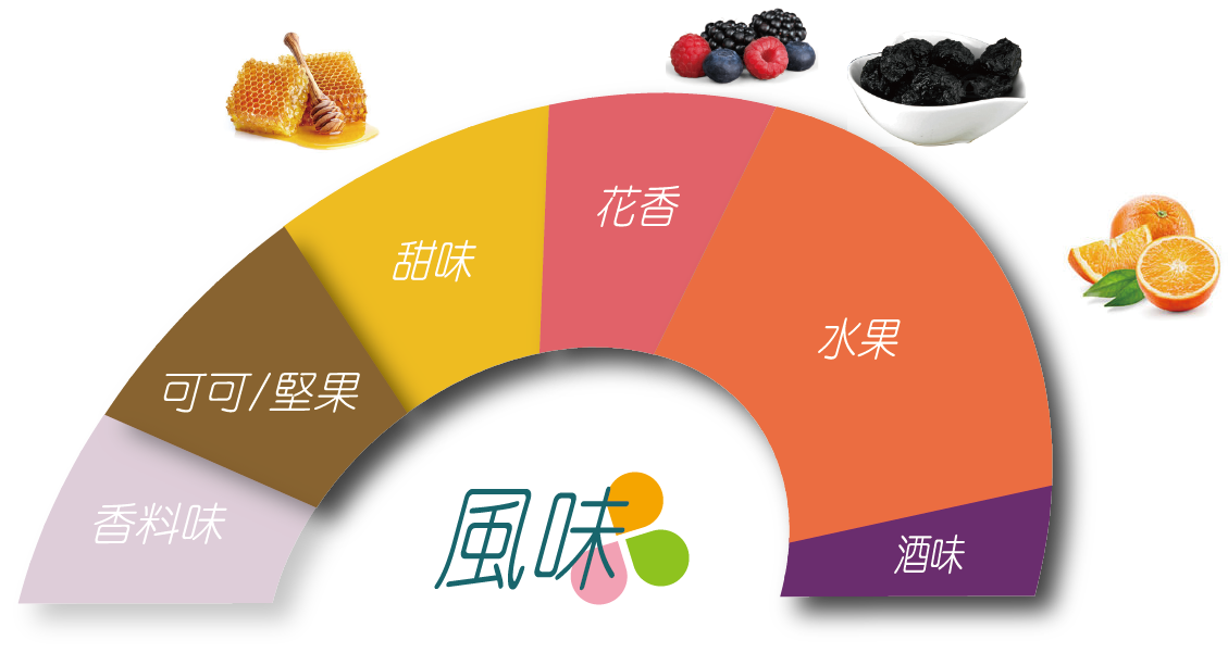 科班雨林飲的風味輪 葡萄乾、深色莓果、酒漬櫻桃、巧克力、水果酒、風味明確、層次豐富