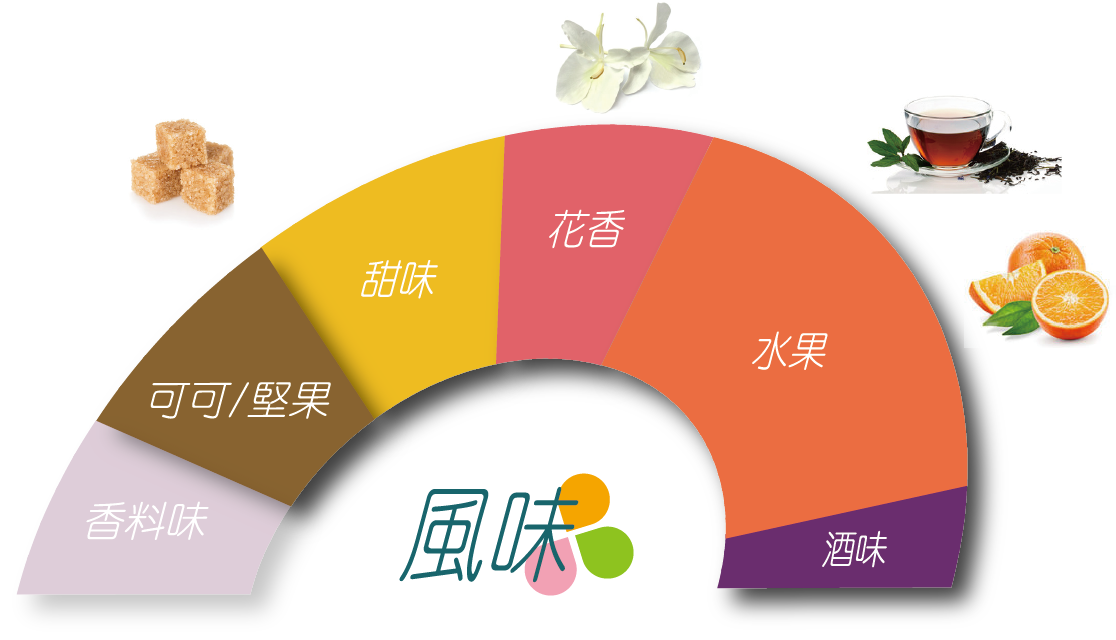 科班雨林飲的風味輪 葡萄乾、深色莓果、酒漬櫻桃、巧克力、水果酒、風味明確、層次豐富