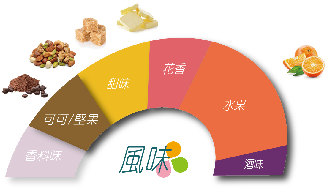科班雨林飲的風味輪 葡萄乾、深色莓果、酒漬櫻桃、巧克力、水果酒、風味明確、層次豐富