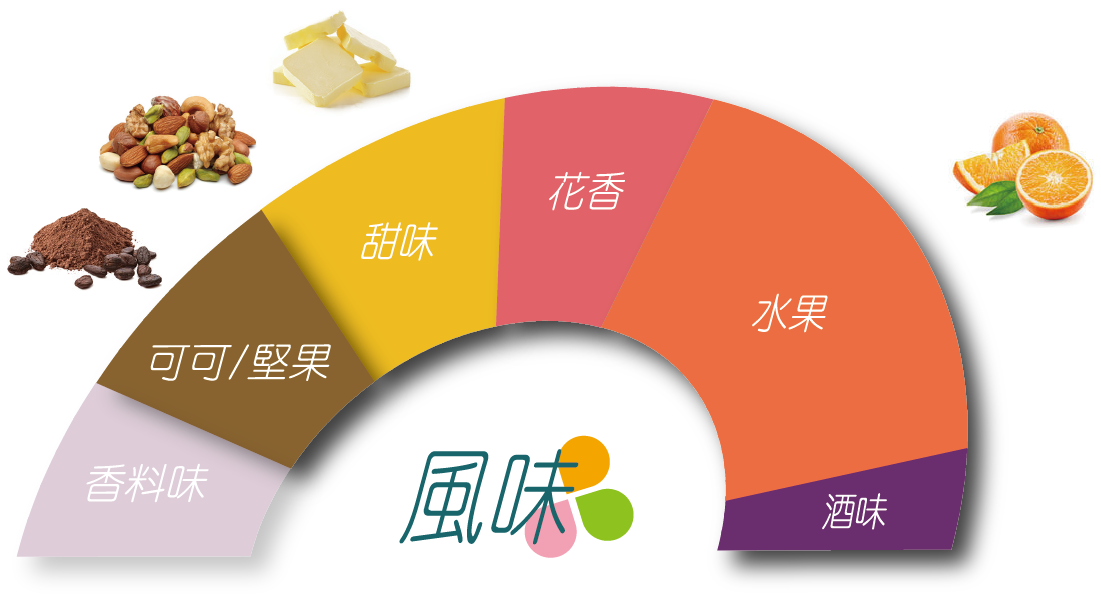 科班雨林飲的風味輪 葡萄乾、深色莓果、酒漬櫻桃、巧克力、水果酒、風味明確、層次豐富