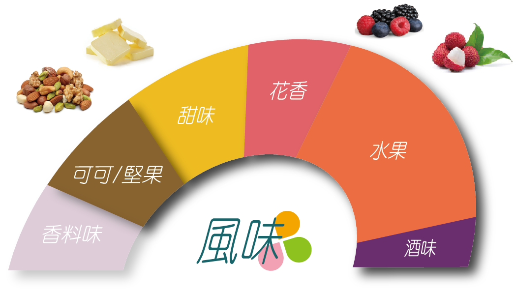 科班雨林飲的風味輪 葡萄乾、深色莓果、酒漬櫻桃、巧克力、水果酒、風味明確、層次豐富