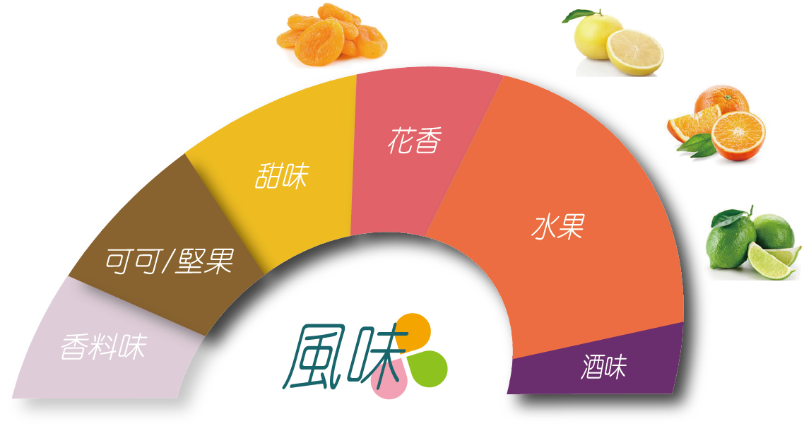 科班雨林飲的風味輪 葡萄乾、深色莓果、酒漬櫻桃、巧克力、水果酒、風味明確、層次豐富