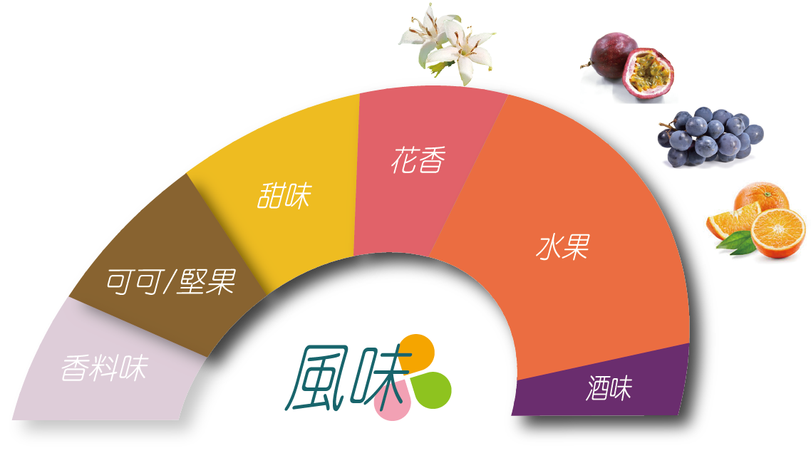科班雨林飲的風味輪 葡萄乾、深色莓果、酒漬櫻桃、巧克力、水果酒、風味明確、層次豐富