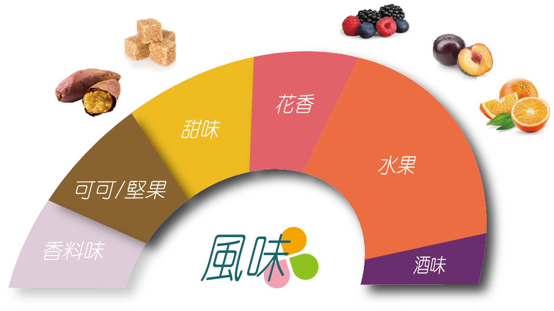 科班雨林飲的風味輪 葡萄乾、深色莓果、酒漬櫻桃、巧克力、水果酒、風味明確、層次豐富